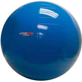 PhysioGymnic Molded Vinyl Inflatable Exercise Ball, 85 cm (34"), Blue