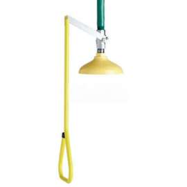 Speakman SE-220 Lifesaver Emergency Shower