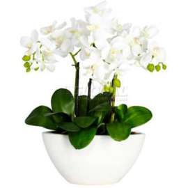 Nearly Natural Phalaenopsis Silk Flower Arrangement