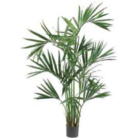Nearly Natural 6' Kentia Palm Silk Tree, Green