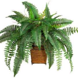 Nearly Natural Boston Fern with Wicker Basket Silk Plant