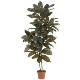 Nearly Natural 5' Cordyline Silk Plant
