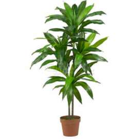Nearly Natural 48'' Dracaena Silk Plant