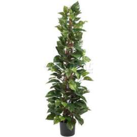 Nearly Natural 63'' Pothos Climbing Silk Plant
