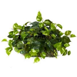 Nearly Natural Pothos Ledge Plant (Set on Foam) Silk Plant