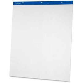 Evidence Flip Chart Pads, 27 x 34, 50 Plain Sheets/Pad, 2 Pads/Ct