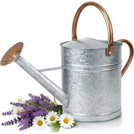 2 Gallon Galvanized Steel Watering Can with Copper Colored Dual Handles and Removable Spout