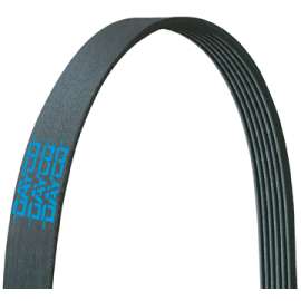 FAN BELT