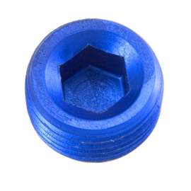 NPT PLUG