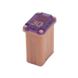 MICRO FEMALE TIME DELAY F