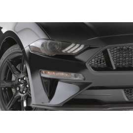 FRONT TURN SIGNAL COVERS  2 PC.