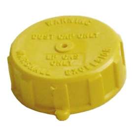 TANK VALVE CAP ONLY