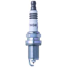 REG PLUGS