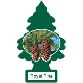 ROYAL PINE 3 PACK LITTLE