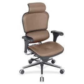 Eurotech Ergohuman Leather Executive Chair, 1 Each