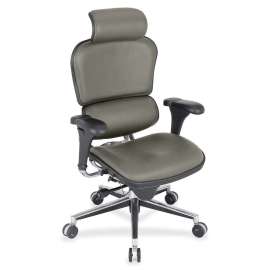 Eurotech ergohuman LE9ERG High Back Executive Chair, 1 Each