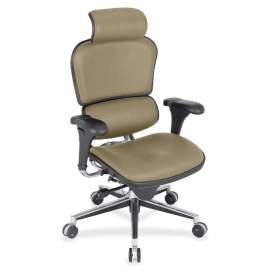 Eurotech ergohuman LE9ERG High Back Executive Chair, 1 Each