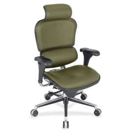 Eurotech ergohuman LE9ERG High Back Executive Chair, 1 Each