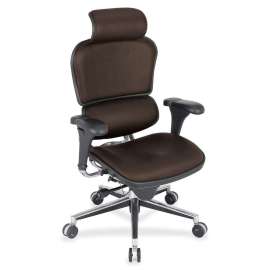 Eurotech Ergohuman Leather Executive Chair, 1 Each