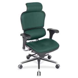 Eurotech Ergohuman Leather Executive Chair, 1 Each