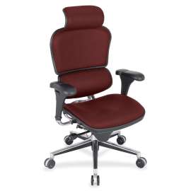 Eurotech Ergohuman Leather Executive Chair, 1 Each