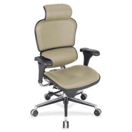 Eurotech Ergohuman Leather Executive Chair, 1 Each