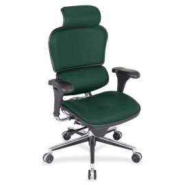 Eurotech Ergohuman Leather Executive Chair, 1 Each