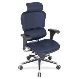 Eurotech ergohuman LE9ERG High Back Executive Chair, 1 Each