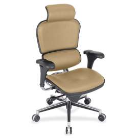 Eurotech Ergohuman Leather Executive Chair, 1 Each