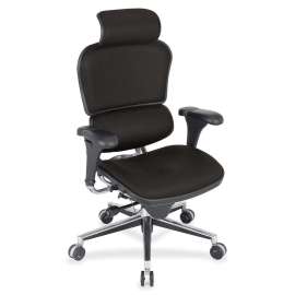 Eurotech Ergohuman Leather Executive Chair, 1 Each