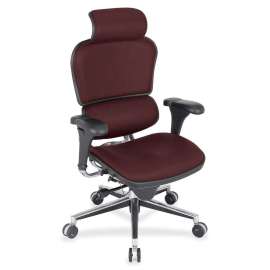 Eurotech Ergohuman Leather Executive Chair, 1 Each