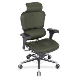 Eurotech Ergohuman Leather Executive Chair, 1 Each