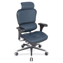Eurotech ergohuman LE9ERG High Back Executive Chair, 1 Each