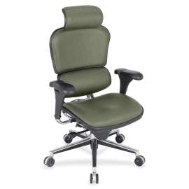 Eurotech ergohuman LE9ERG High Back Executive Chair, 1 Each