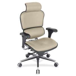 Eurotech ergohuman LE9ERG High Back Executive Chair, 1 Each