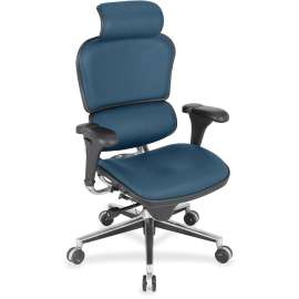 Eurotech ergohuman LE9ERG High Back Executive Chair, 1 Each