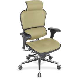 Eurotech ergohuman LE9ERG High Back Executive Chair, 1 Each