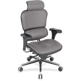 Eurotech Ergohuman Leather Executive Chair, 1 Each