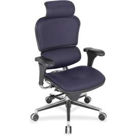 Eurotech Ergohuman Leather Executive Chair, 1 Each