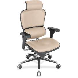 Eurotech ergohuman LE9ERG High Back Executive Chair, 1 Each