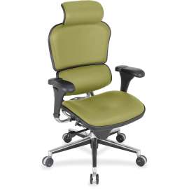 Eurotech ergohuman LE9ERG High Back Executive Chair, 1 Each