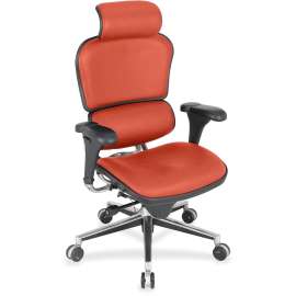 Eurotech ergohuman LE9ERG High Back Executive Chair, 1 Each