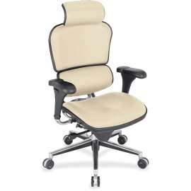 Eurotech Ergohuman Leather Executive Chair, 1 Each