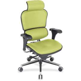 Eurotech Ergohuman Leather Executive Chair, 1 Each
