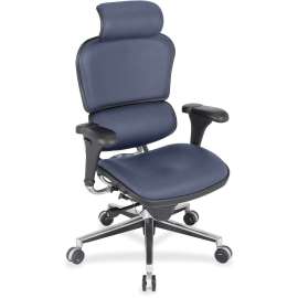 Eurotech Ergohuman Leather Executive Chair, 1 Each