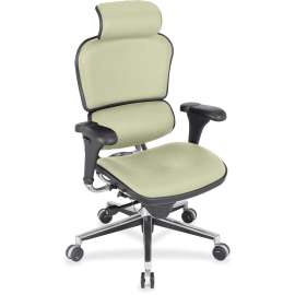 Eurotech Ergohuman Leather Executive Chair, 1 Each