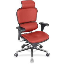 Eurotech Ergohuman Leather Executive Chair, 1 Each