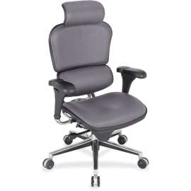 Eurotech Ergohuman Leather Executive Chair, 1 Each