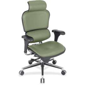 Eurotech Ergohuman Leather Executive Chair, 1 Each