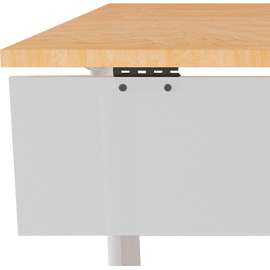 Special-T Acrylite Modesty Panel, Frosted White